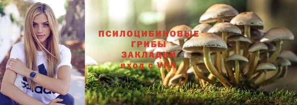 эйфоретик Арсеньев