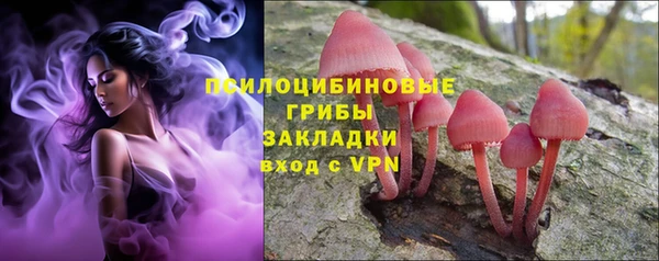 а пвп мука Аркадак