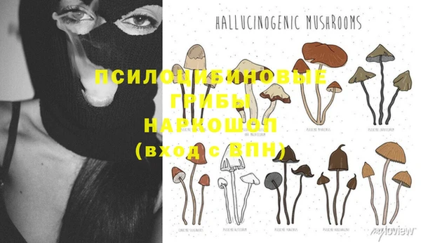 эйфоретик Арсеньев